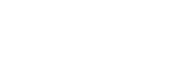 MSA / CAIRNS HELMETS logo