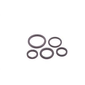 PVG O-RING KIT