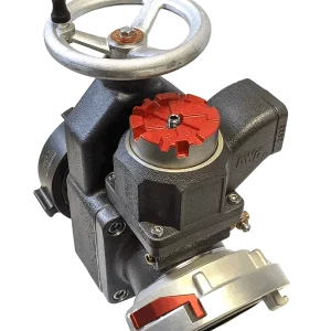 GATE VALVE 5"STRZ x 4"F NST W/