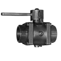 2.5" BALL VALVE W/ D HANDLE